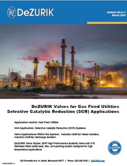DeZURIK Valves for Gas Fired Utilities.jpg