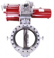 Tail Gas High Performance Butterfly Valve (BTG)