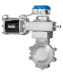 High Performance Butterfly Valves (BHP)