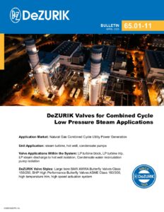 DeZURIK Valves for Combined Cycle Low Pressure Steam Applications