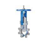 Kgn Msu Acg6075 0033