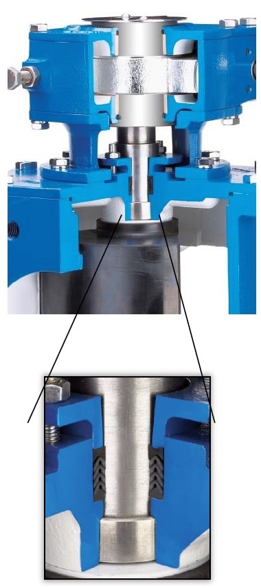Multiple V Ring Packing