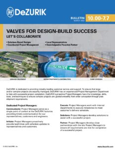 Project Management Services