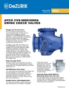 APCO CVS-6000/6000A Swing Check Valves 6000
