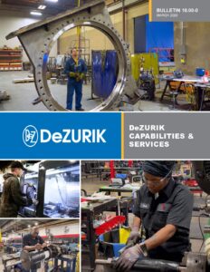 Corporate Capabilities