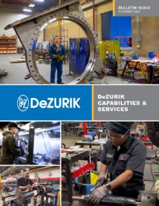 Corporate Capabilities