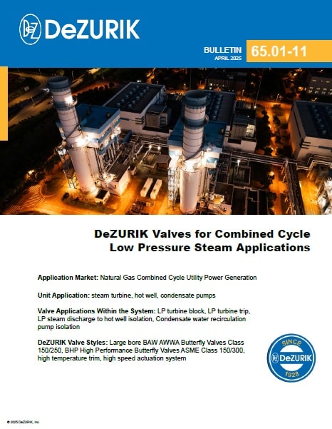 Valves for Combined Cycle Low Pressure Steam