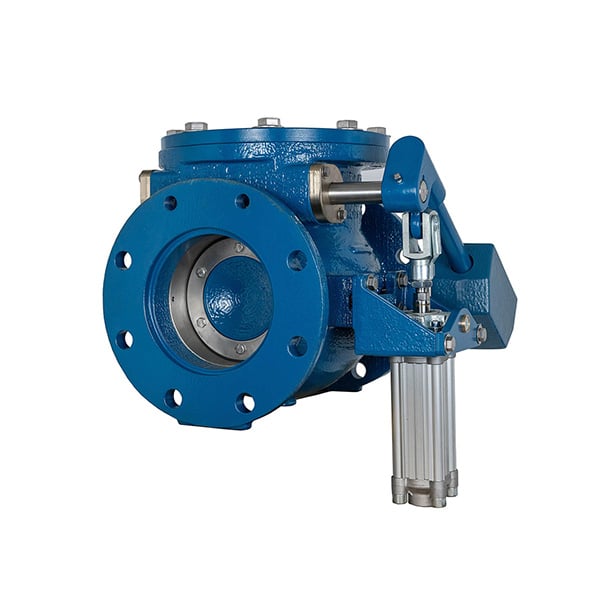 APCO CVS-6000 Swing Check Valve with Lever & Weight and Air Cushion Cylinder