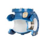 APCO CVS-6000 Swing Check Valve cutaway showing internal construction